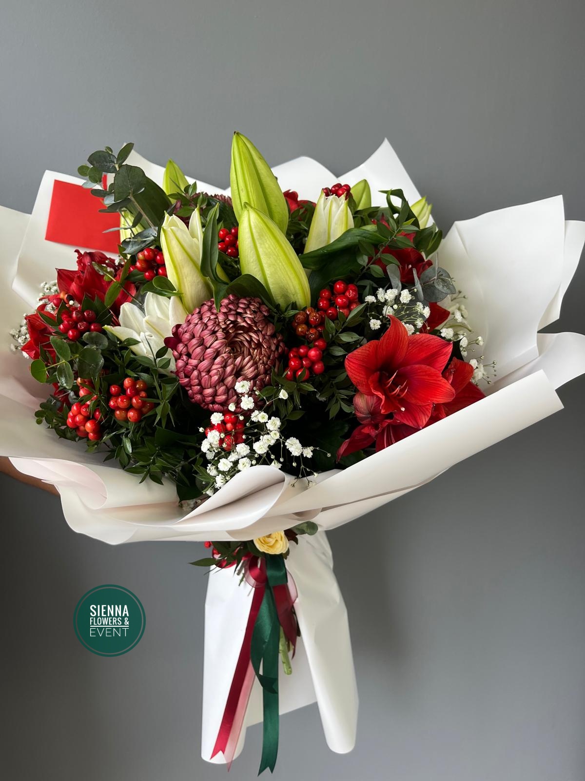 Holly Blomming Winter 