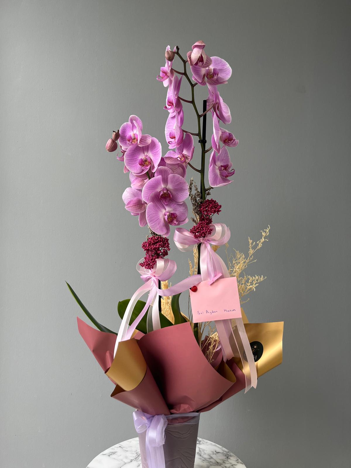 Desposito Lila Orchid 