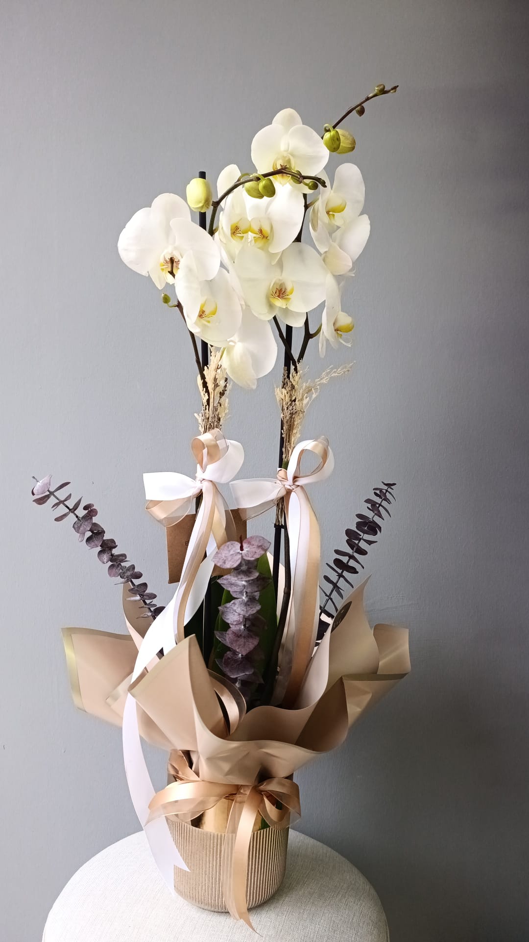 2 dallı premium beyaz orkide 