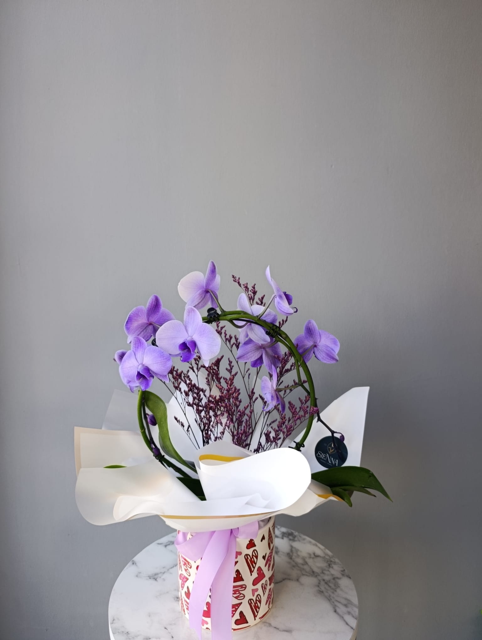 Circle Lila Premium Orkide