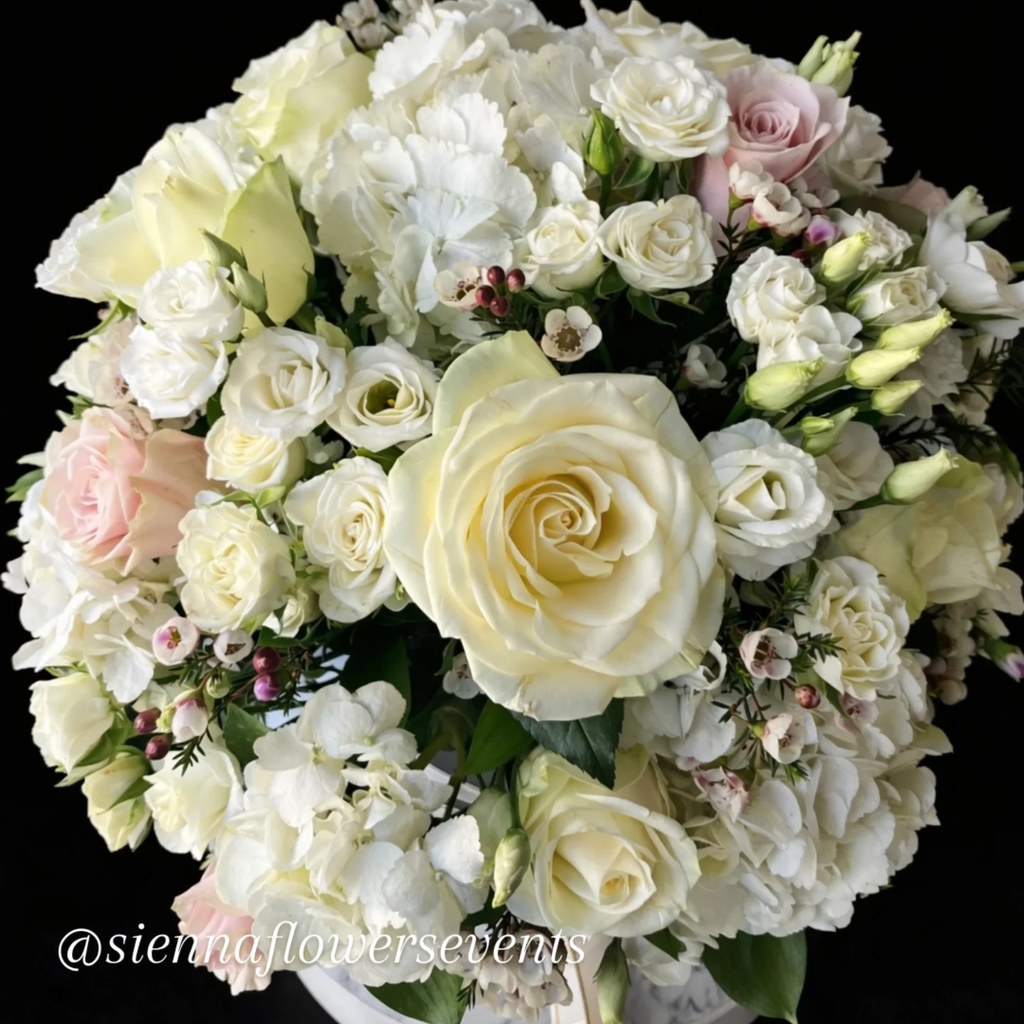 Sonsuz Nezaket Kutusu 